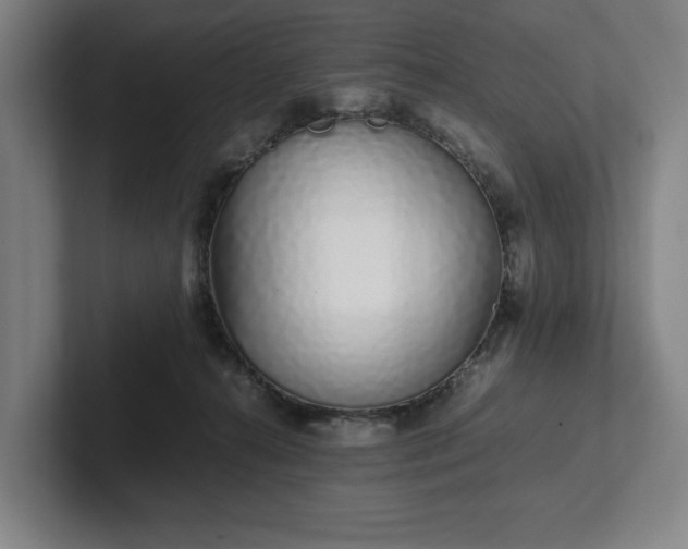 X0000101990272200807251232
