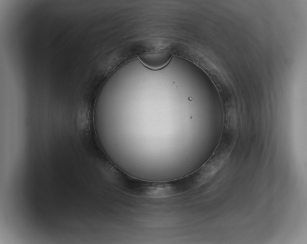 X0000101990274200807251232