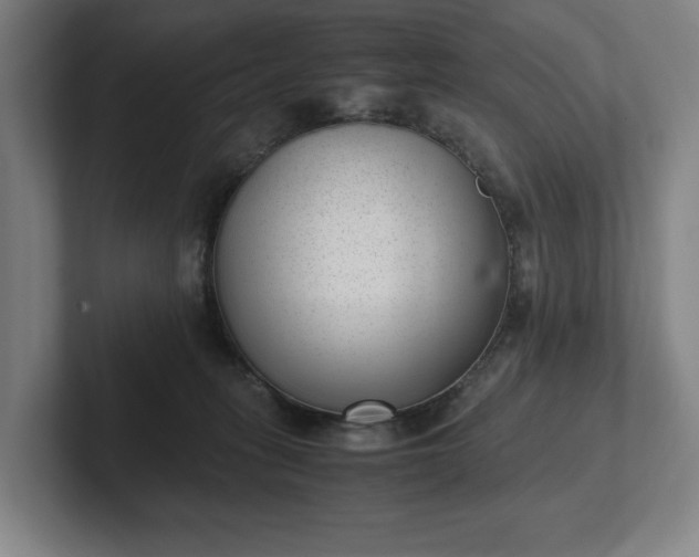 X0000101990275200807251232