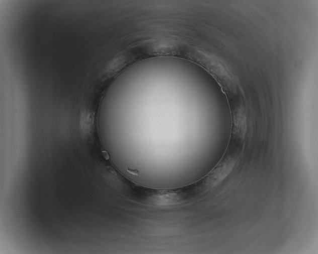X0000101990278200807251232
