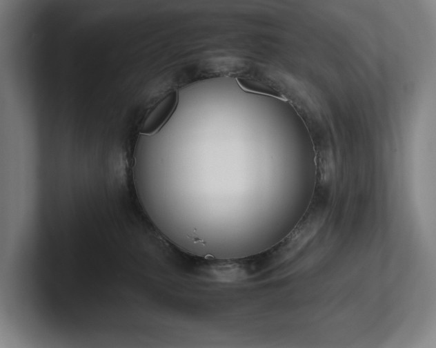 X0000101990279200807251232