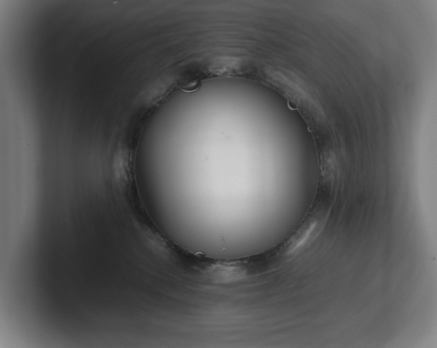 X0000101990280200807251232