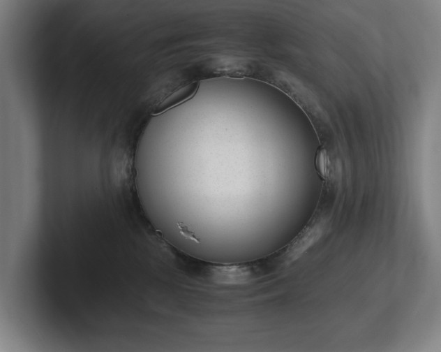X0000101990281200807251232