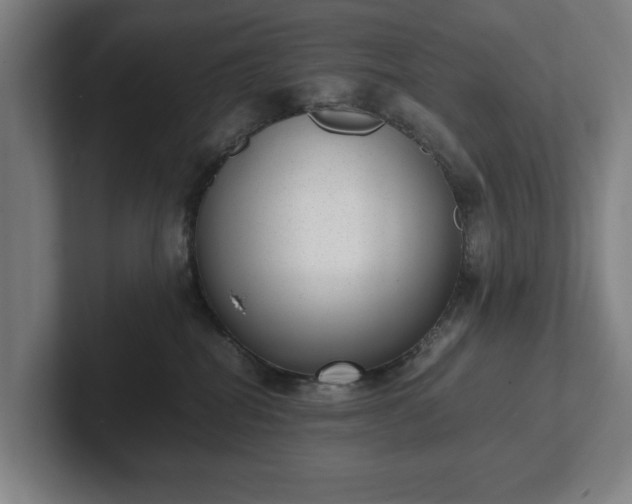 X0000101990282200807251232