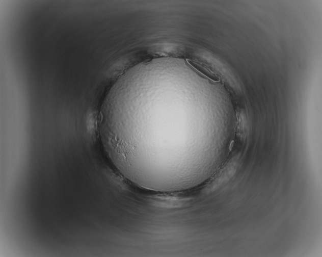 X0000101990284200807251232