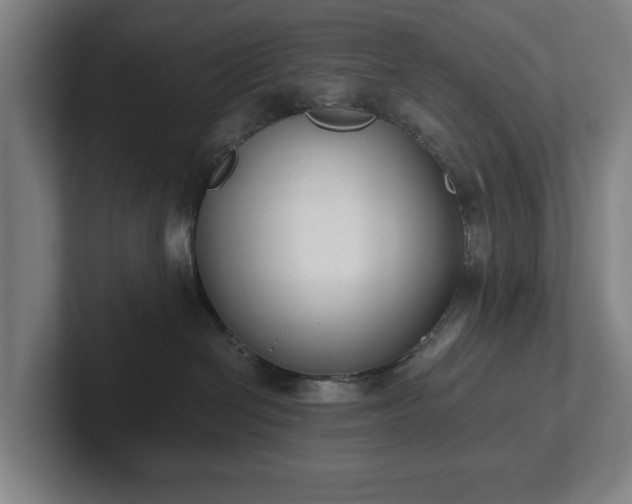 X0000101990286200807251232