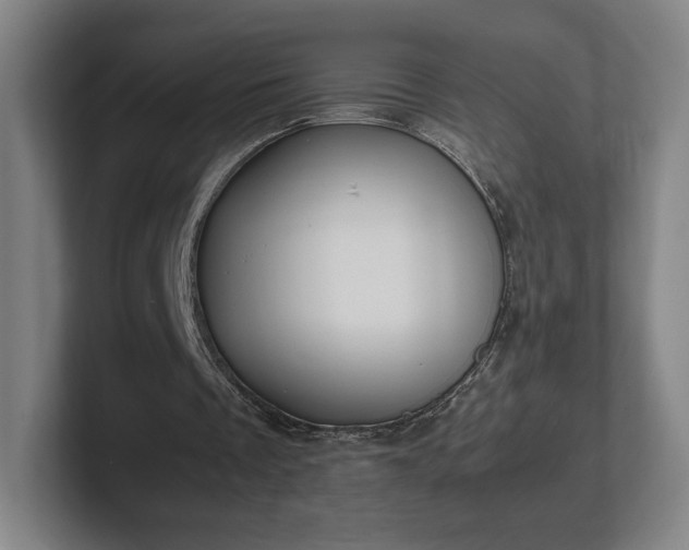 X0000101990289200807251231