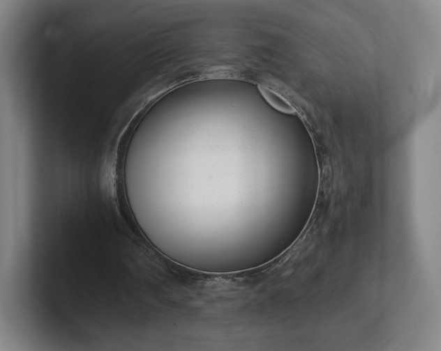 X0000101990290200807251231