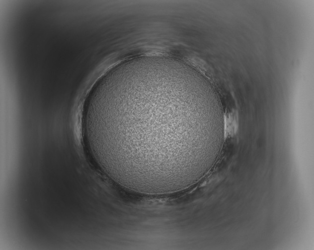 X0000101990291200807251231