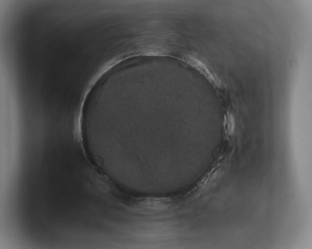 X0000101990292200807251231
