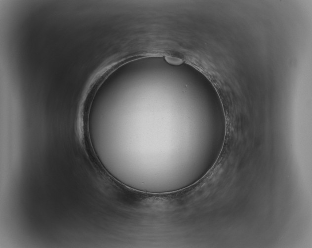X0000101990294200807251231