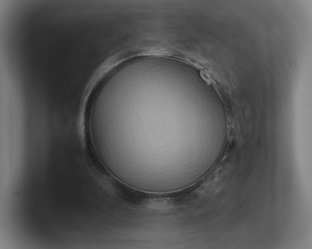 X0000101990296200807251231