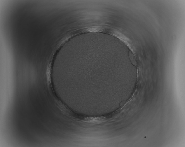 X0000101990297200807251231