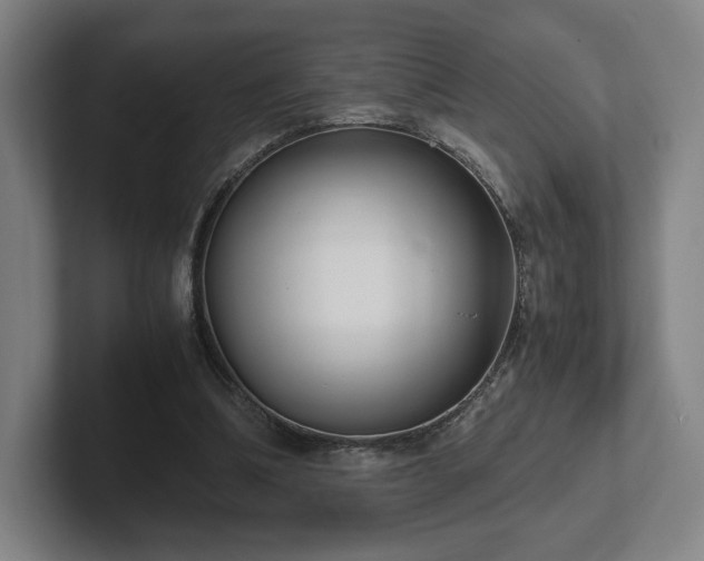 X0000101990298200807251231