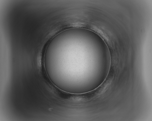 X0000101990299200807251231