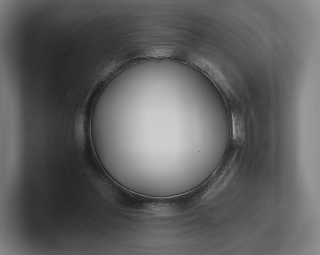 X0000101990300200807251231