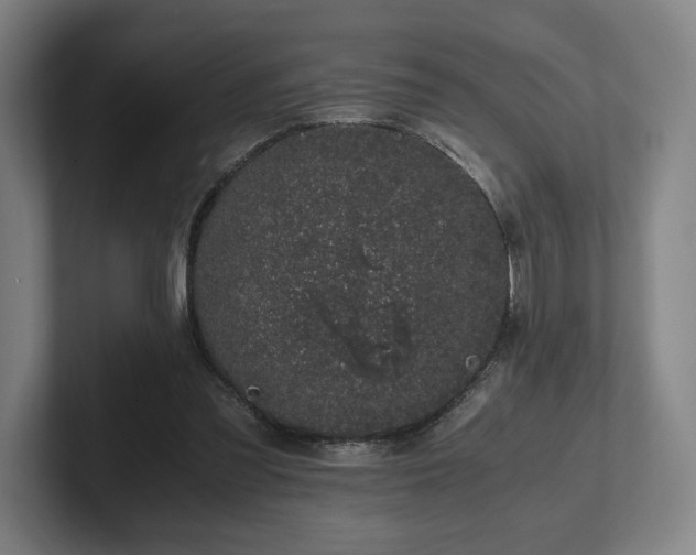 X0000101990301200807251231
