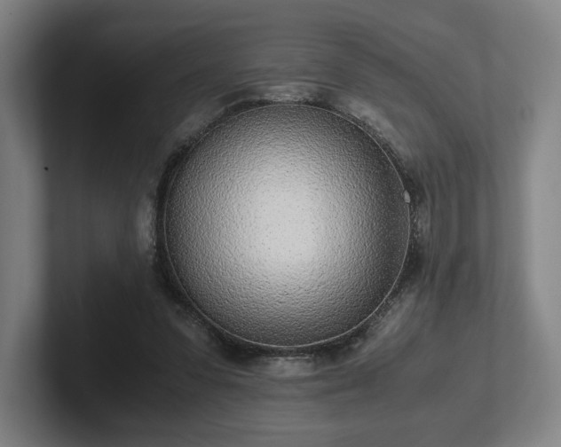 X0000101990303200807251231