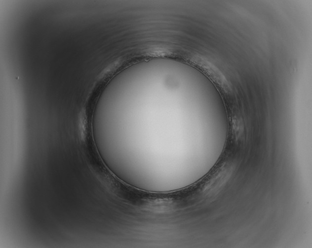 X0000101990304200807251231