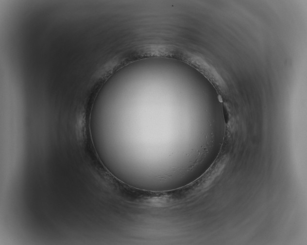 X0000101990306200807251231