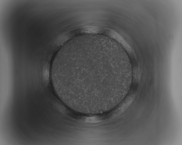 X0000101990309200807251231
