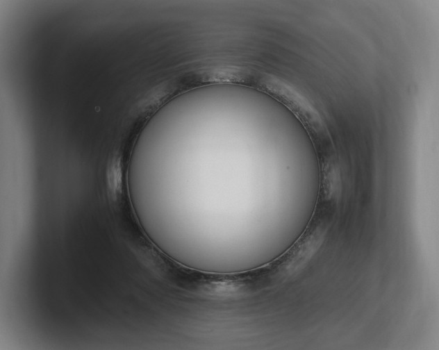 X0000101990310200807251231