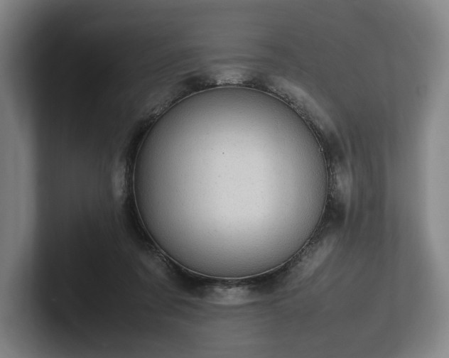 X0000101990311200807251231
