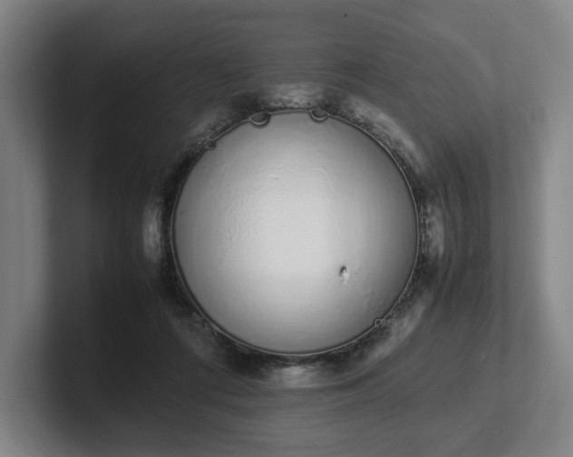 X0000101990312200807251231
