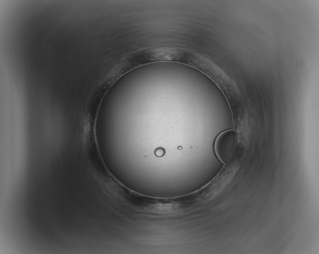 X0000101990314200807251231