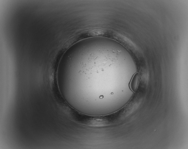 X0000101990315200807251231