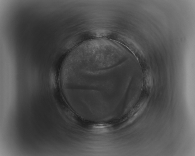 X0000101990316200807251231