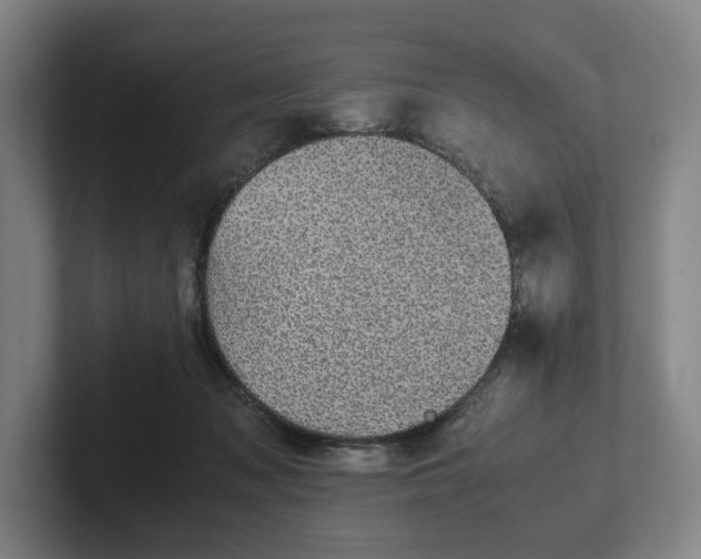 X0000101990317200807251231