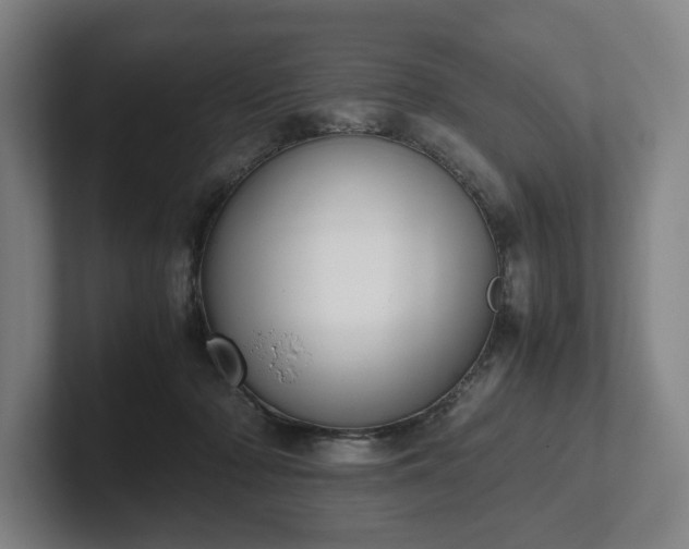 X0000101990318200807251231