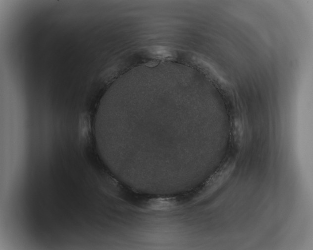 X0000101990320200807251231