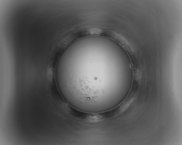 X0000101990321200807251231