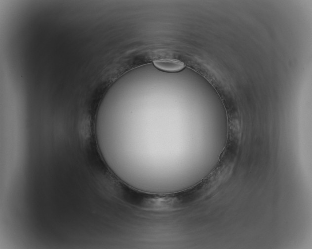 X0000101990323200807251231
