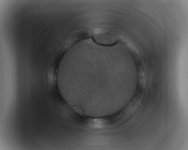 X0000101990324200807251231