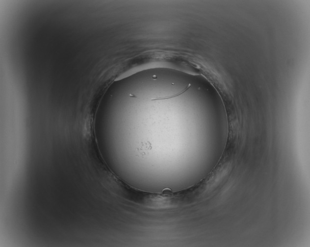 X0000101990325200807251231