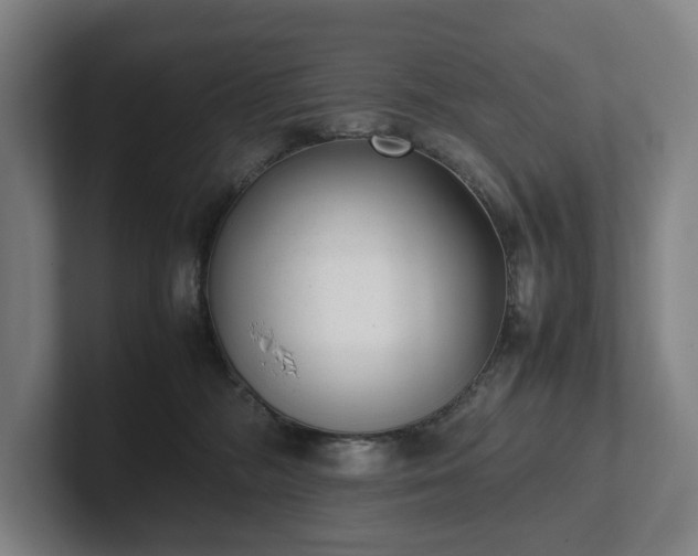 X0000101990326200807251231