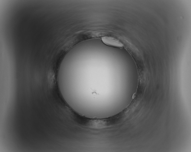 X0000101990327200807251231