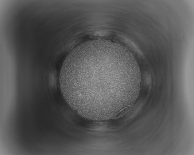 X0000101990328200807251231