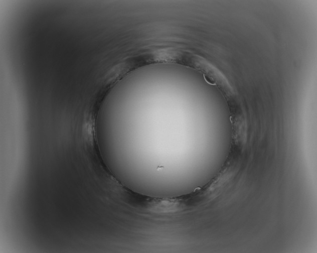 X0000101990329200807251231