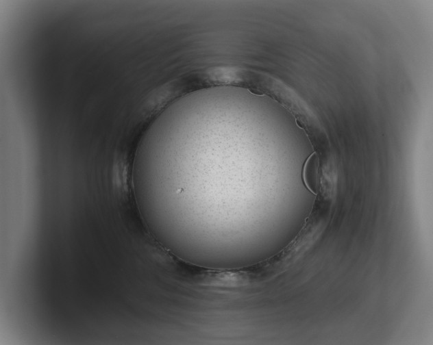 X0000101990330200807251231