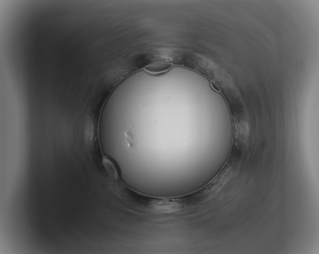 X0000101990331200807251231