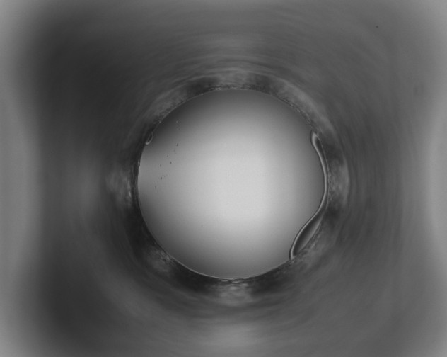 X0000101990333200807251231