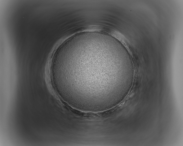 X0000101990337200807251230