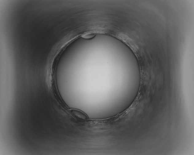 X0000101990338200807251230