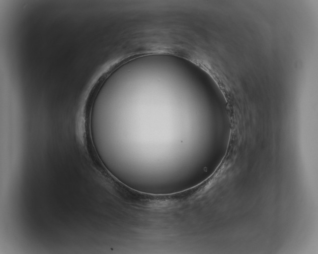 X0000101990342200807251230