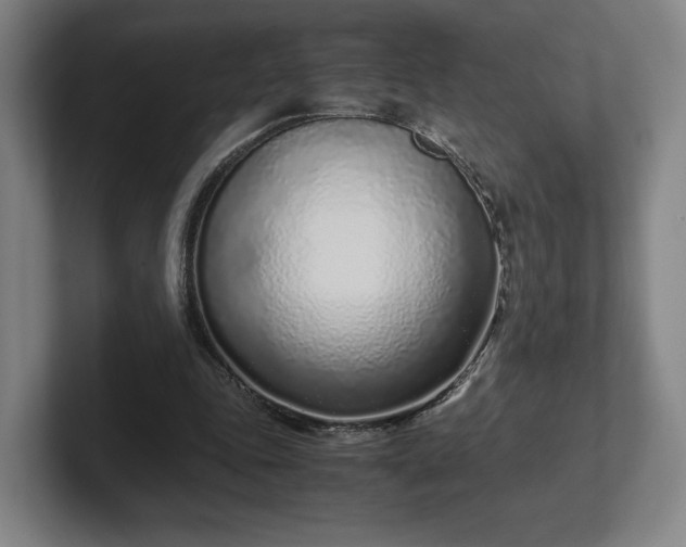 X0000101990343200807251230