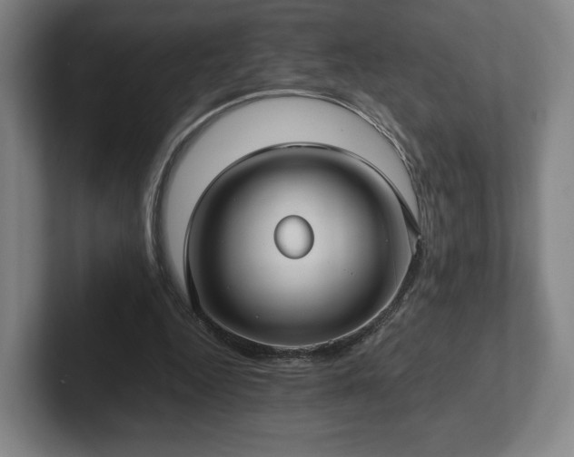 X0000101990344200807251230